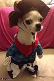 Cowboy Chico Halloween Costume Contest At Costume Works Com Chihuahua Halloween Costumes Pet Halloween Costumes Chihuahua Costumes