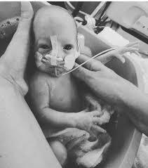 THE SAMUEL SERIES 6: FIRST LOOK — T H E W E L L P L A C E