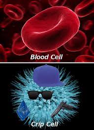 Rival Cells Very Funny Images Best Funny Pictures Funny Images