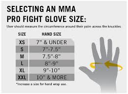 muay thai striking pro gloves