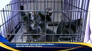 Adopting a manchester terrier can be life changing — not only for the dog, but also the adopter. Manchester Animal Shelter Offers Black Friday Adoption Specials