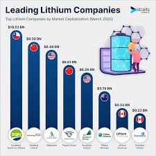 Lithium Producers Ranked by Market Cap ...