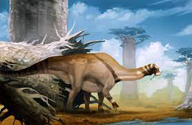 Matter is not supported can print to give different versions of the tooth in different sizes, her necklace that. Don T Google Which Dinosaur Had 500 Teeth Know Your Meme