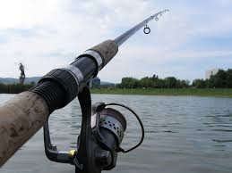 Spinning Rod Vs Casting Rod How Are They Different