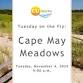 Tuesday on the Fly: South Cape May Meadows event image
