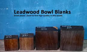 Image result for Combretum schumannii