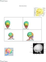 Check spelling or type a new query. Medradsc 2ra3 Lecture 2 Sutures Fossa Foramina Oneclass