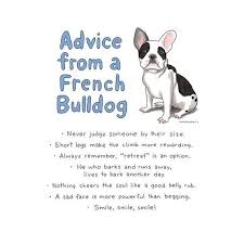 French Bulldog Gift Frenchie Lover Gift Dog Owner Quotes Etsy French Bulldog Gifts Puppy Quotes French Bulldog Quotes