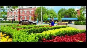 Dilwale Movie Trailer 2015 Shah Rukh Khan Kajol Varun Dhawan A Rohit Shetty Movie Video Dailymotion