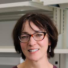 Team — Philpott/Girardin Labs