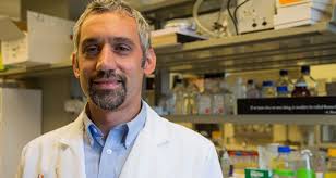 OSU research team awarded grant to study atrial fibrillation