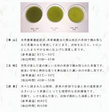 ７５ 深蒸し掛川茶 季節折々 毎月定期便 12回 大井製茶 静岡県掛川市 ふるさと納税 ふるさとチョイス