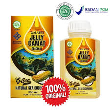 Pin Di Walatra G Sea Jelly Gamat Original