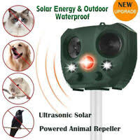 I just bought a ultrasonic pest repeller.i am wondering if it gets rid of earwigs down here in florida. Ultraschall Pest Abwehr Gegen Ratten Mause Flohe Zecken Spinnen Weitech Wk 0300 Ebay