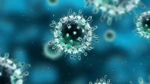11 Virus Paling Mematikan di Dunia Selain Corona - Global Liputan6.com