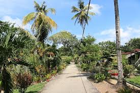 The main attraction here is the 13 hectare pasir panjang recreational forest, a small park equipped with generous facilities, including. Kampung Orang Asli Bukit Kepong Near Pasir Panjang Port Dickson