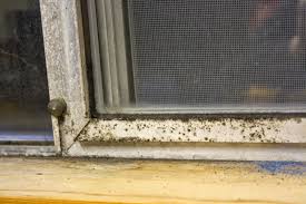 Cleaning Oxidized And Moldy Aluminum Window Frames Aluminium Windows How To Clean Aluminum Window Frames