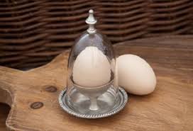 Pin On Cloche Decorating Birdcages