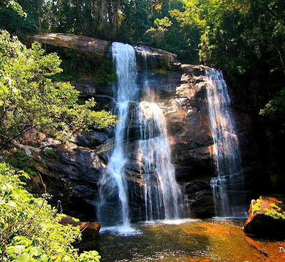 Udzungwa Mountains National Park