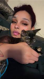 Lost kitten in Goodyear Heights area