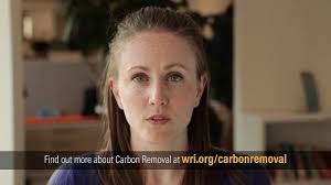 Explainer: What is Carbon Removal?