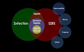 'fever may be a marker of sepsis, localized infection, occult bacteremia, or benign illness.' 'failure to do so may result in serious wound infections and possibly sepsis.' Episode 37 Definitions And Identification Of Sepsis Sepsis 2 0 Vs Sepsis 3 0 Rebel Em Emergency Medicine Blog