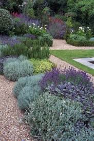 Full Sun Low Maintenance Drought Tolerant Plants By Ingrid Dobbelaere Rock Garden Landscaping Cottage Garden Design French Cottage Garden