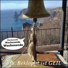 Schönes Wochenende Sprüche Lustig Bilder Und Sprüche Für Whatsapp