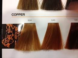Loreal Inoa Copper Colour Chart In 2019 Hair Color