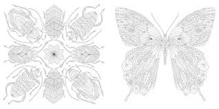 See more ideas about millie marotta, marotta, millie marotta coloring book. Millie Marotta S Tropical Wonderland A Colouring Book Adventure Marotta Millie Amazon De Bucher