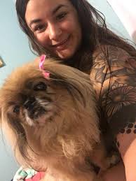 Shiba Inu dog peeing incident