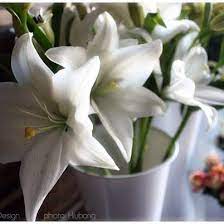 Your support means the world to our lovely local flower shop!! Marina Floral Design Posts Facebook