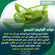 فوائد الأوليفرا للجسم Fruit Food Lime