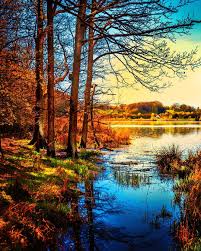 Goldbergsee Coburg Natural Landmarks Country Roads Landmarks