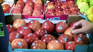 See below the 25 varieties of apples in the blue whale range. Blue Whale Arroz Con Setas Y Manzana Fuji Premium Youtube