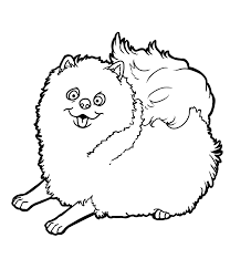 Educational group about pomeranian colors and patterns and. Pomeranian Coloring Pages Puppy Coloring Pages Dog Coloring Page Animal Coloring Pages