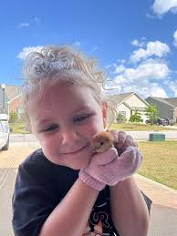 Hey guys introducing Bug and Mary my new Noodles. I'm a first time ferret  owner I've got some great tips but will probably ask questions from time to  time if you all