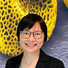 China Medical University & Health Care System