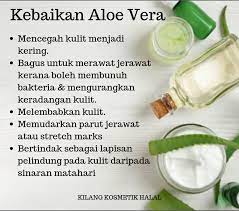 Untuk pengetahuan anda, gel lidah buaya memang sudah digunakan sejak dari zaman dahulu kala lagi. Aloe Vera Dapat Membantu Kilang Kosmetik Halal Facebook