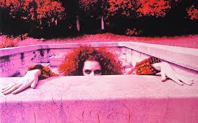 Hd wallpapers and background images. Hd Wallpaper Frank Zappa Wallpaper Flare