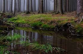 From 2012 to 2017, the army cleaned its surface pyrotechnically. Lide V Brdech Co Zustane Pristim Generacim Brdy Ocima Kritika Chko Cestovani Lidovky Cz