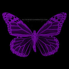 Beautiful Black And Purple Butterfly Https Encrypted Tbn0 Gstatic Com Images Q Tbn 3aand9gcsvirl7hdkhgyqix1xawg7tx9qmvecrvghg0w Usqp Cau