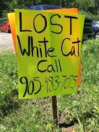 We did not find results for: Lost And Found Pet Services Second Hope Circle