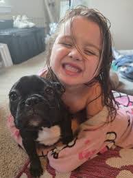 Dana Taber's Instagram, Twitter & Facebook