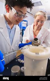 Liquid nitrogen flask hi-res stock photography and images