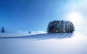 Fort MacMurray, preparing for winter 