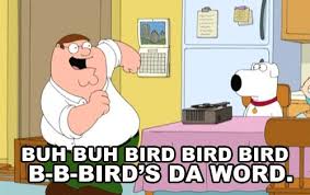 Bird Bird Bird Is The Word Song And Of Course Whenever Peter Sings Bird Is The Word Family Guy Quotes Family Guy Funny Family Guy