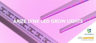Have you heard the name cob led grow light? Wasabi Japonica Grown Under Ge Led Grow Lights Urban Ag News