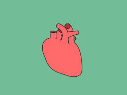 Atrophic Kidney Symptoms Causes Treatment Diet And More Kidney cartoon 5 of 14. atrophic kidney symptoms causes