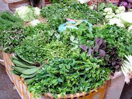 Pin On Gardening Herbs Flowers